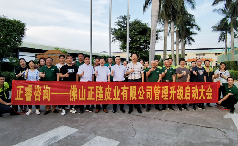 助力皮革行業(yè)再樹標(biāo)桿——正隆皮業(yè)全面管理升級(jí)項(xiàng)目啟動(dòng)！