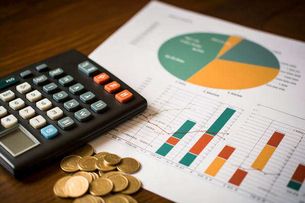 強(qiáng)化集團(tuán)管控：財(cái)務(wù)，人力資源，信息技術(shù)的整合