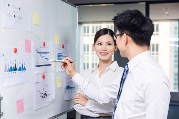 組織咨詢：協(xié)助企業(yè)制定組織發(fā)展戰(zhàn)略，推動(dòng)組織成長(zhǎng)