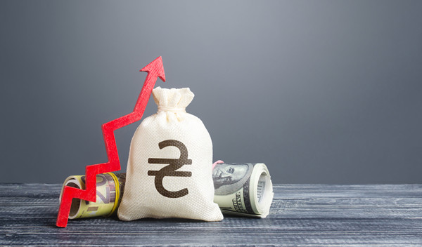 預(yù)算管理中的風(fēng)險評估與應(yīng)對策略有哪些？