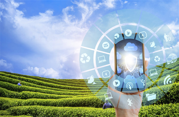 在精益轉(zhuǎn)型中，如何平衡標(biāo)準(zhǔn)化作業(yè)與靈活性需求？