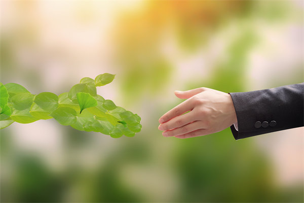 可持續(xù)發(fā)展成為趨勢，企業(yè)如何融入綠色戰(zhàn)略以促增長？