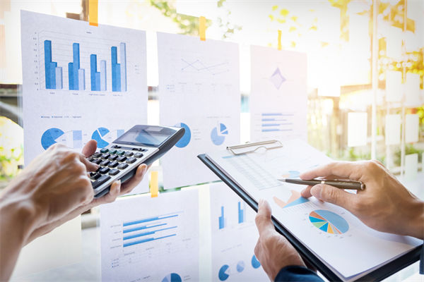 在預(yù)算執(zhí)行中，如何確保監(jiān)控與調(diào)整機制的有效性？