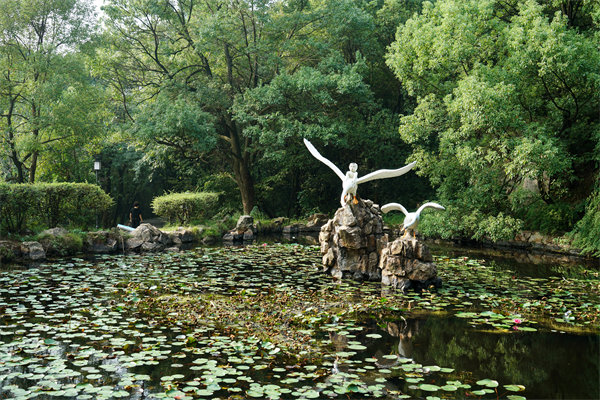 株洲預(yù)算管理咨詢公司如何為企業(yè)打造精準(zhǔn)預(yù)算管理體系？