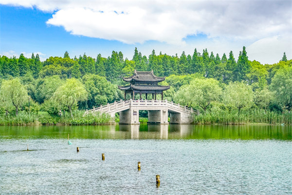 常州組織規(guī)劃咨詢公司如何設(shè)計(jì)高效組織架構(gòu)？