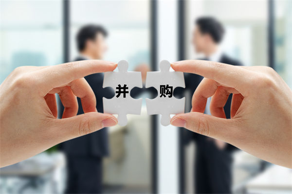 如何通過并購整合戰(zhàn)略實(shí)現(xiàn)資源優(yōu)化與企業(yè)快速擴(kuò)張？