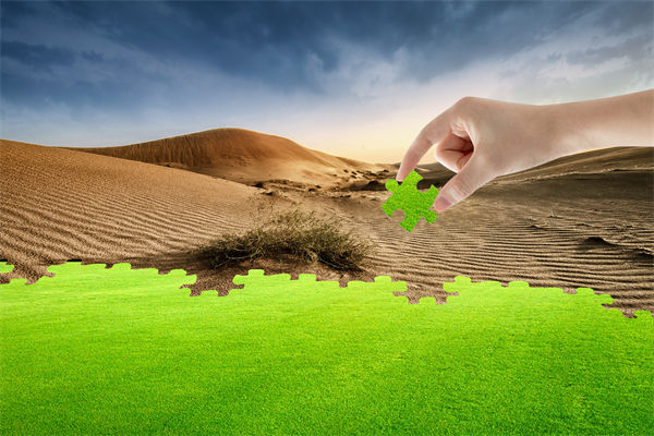 企業(yè)深陷困境，管理咨詢?nèi)绾我岳做侄未蚱瓢l(fā)展僵局？