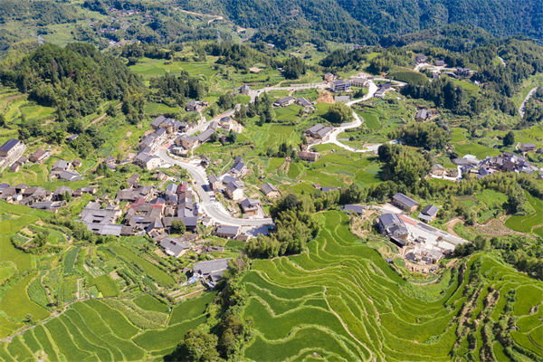 企業(yè)薪酬激勵乏力，麗水薪酬咨詢公司如何激發(fā)員工積極性？