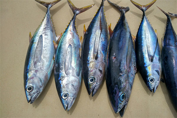 商務(wù)部：將幫助外貿(mào)企業(yè)擴(kuò)寬內(nèi)銷渠道，政策解讀！