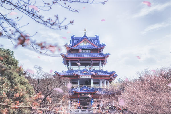 供應(yīng)鏈成本居高不下，無錫供應(yīng)鏈咨詢公司如何精準(zhǔn)砍出利潤空間？