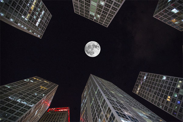 全球品牌，如何贏在中國？企業(yè)營銷管理有何啟示？