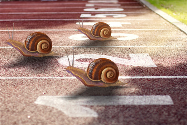 新業(yè)務(wù)拓展艱難，年度經(jīng)營計(jì)劃為其定制專屬發(fā)展路徑