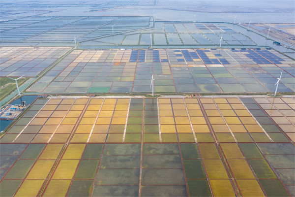 濰坊制造業(yè)招工難留人更難，濰坊人力資源咨詢公司如何破局用工困局？