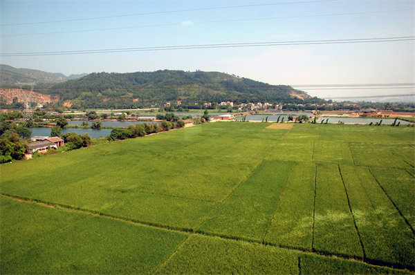 清遠(yuǎn)人力資源咨詢(xún)公司量體裁衣，如何激活企業(yè)人才發(fā)展新動(dòng)能？