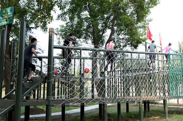 文化活動形式豐富多樣，組織凝聚力提升為何緩慢？