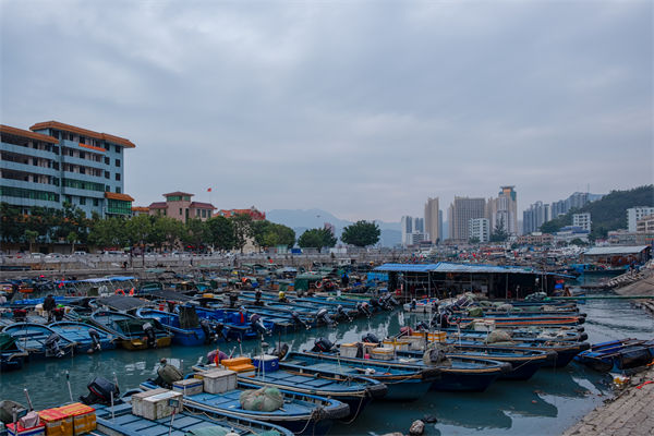 精益生產(chǎn)分析：開海第一網(wǎng)撈8000斤，船長(zhǎng)合不攏嘴