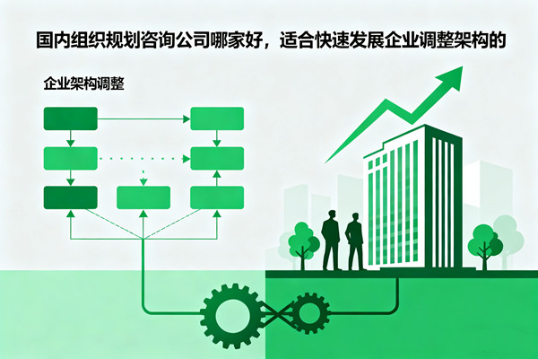 國(guó)內(nèi)組織規(guī)劃咨詢(xún)公司哪家好，適合快速發(fā)展企業(yè)調(diào)整架構(gòu)的