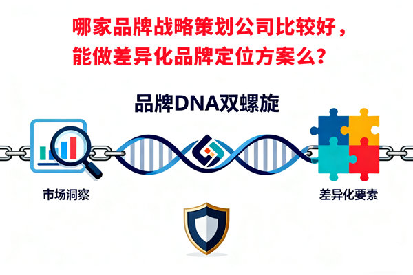 哪家品牌戰(zhàn)略策劃公司比較好，能做差異化品牌定位方案么？