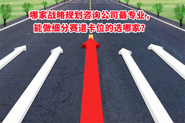 哪家戰(zhàn)略規(guī)劃咨詢公司最專業(yè)，能做細(xì)分賽道卡位的選哪家？