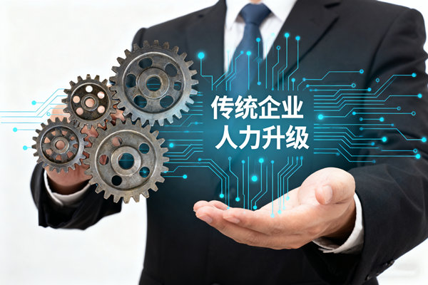 口碑好的人力資源咨詢(xún)服務(wù)機(jī)構(gòu)，哪家適合傳統(tǒng)企業(yè)人力升級(jí)？